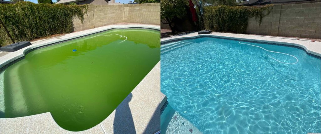 Green to clean pool maintenance